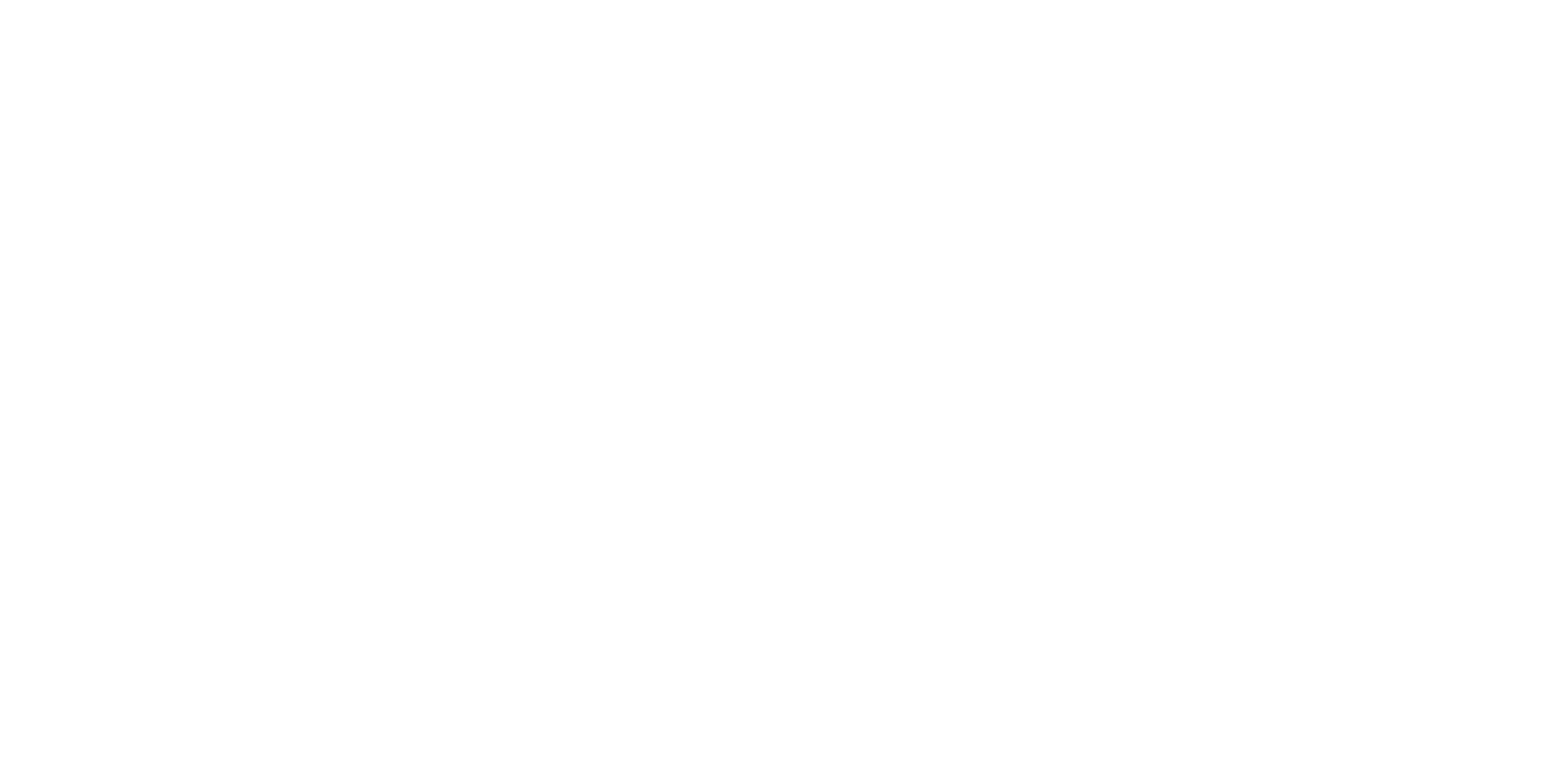 Logo de Blue Partners Finance inversé